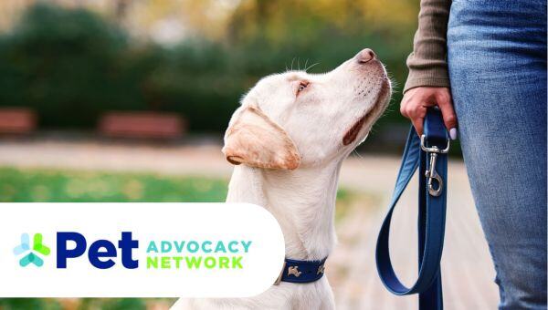 Pet Advocacy Network logo plus woman with a yellow laborador