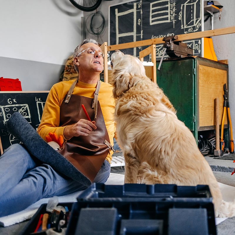 Pet Industry Equipment Suppliers